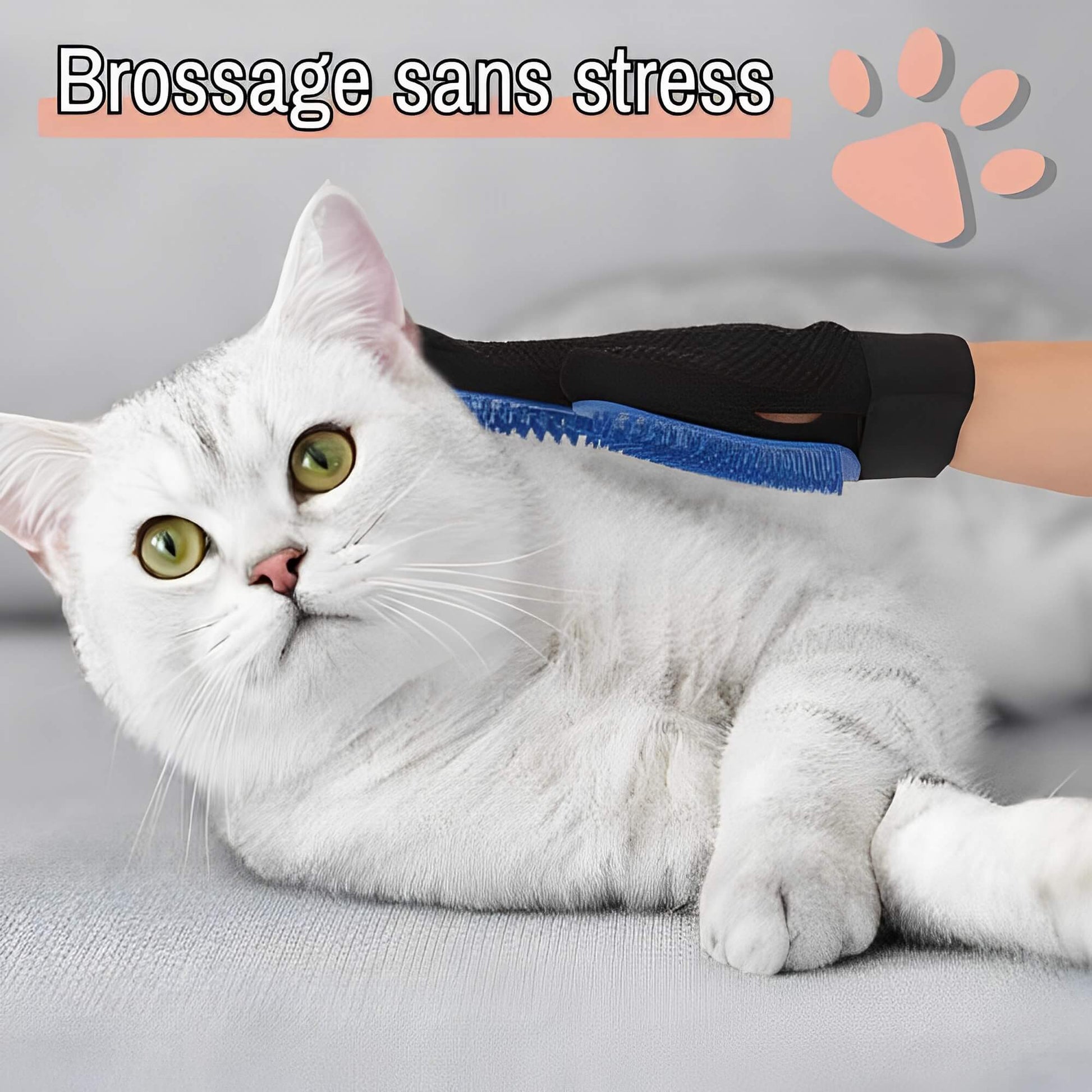 Brosse pour Chat ou Chien Gant de toilettage JuJuGantBrosse brossage sans stress