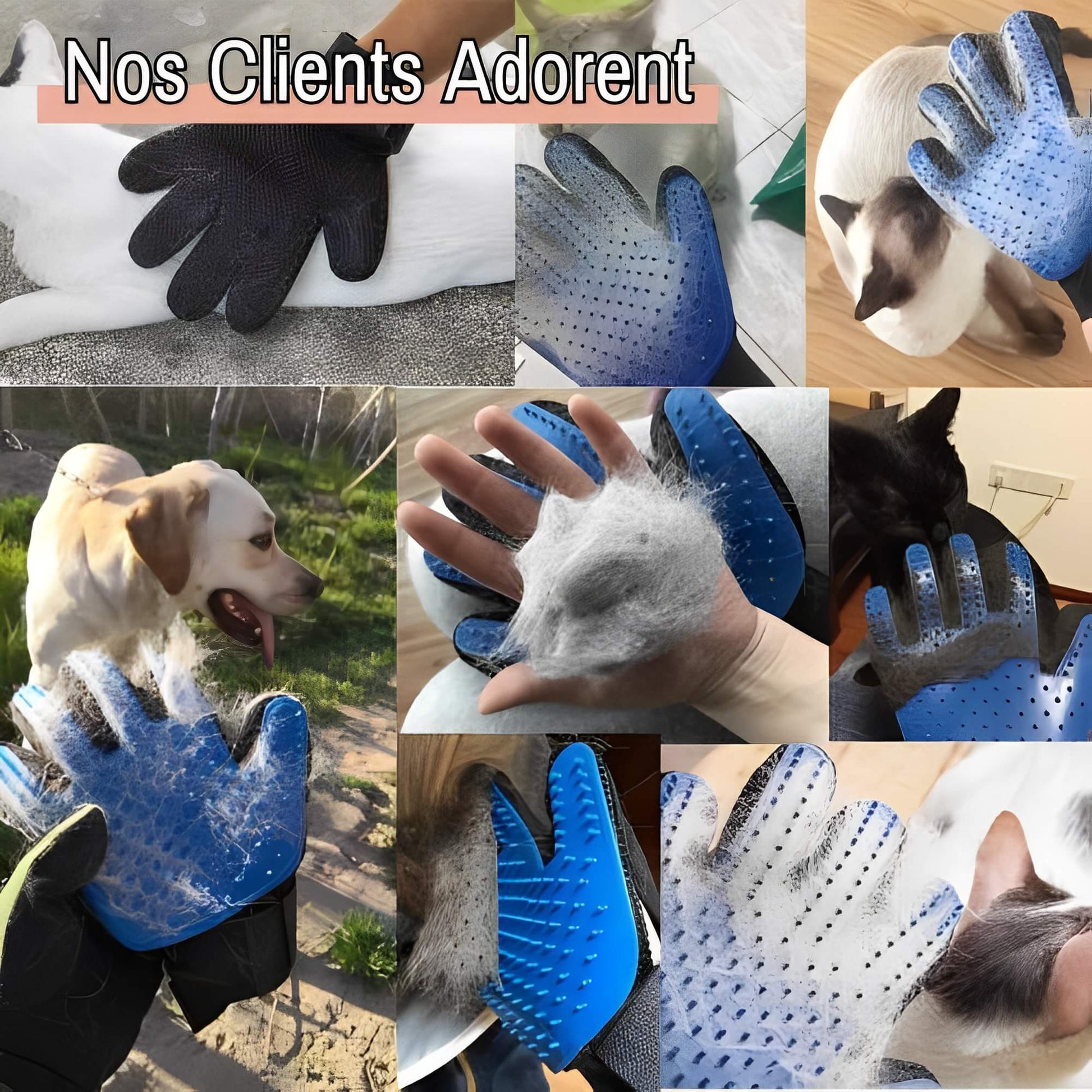 Brosse pour Chat ou Chien Gant de toilettage JuJuGantBrosse clients adorent