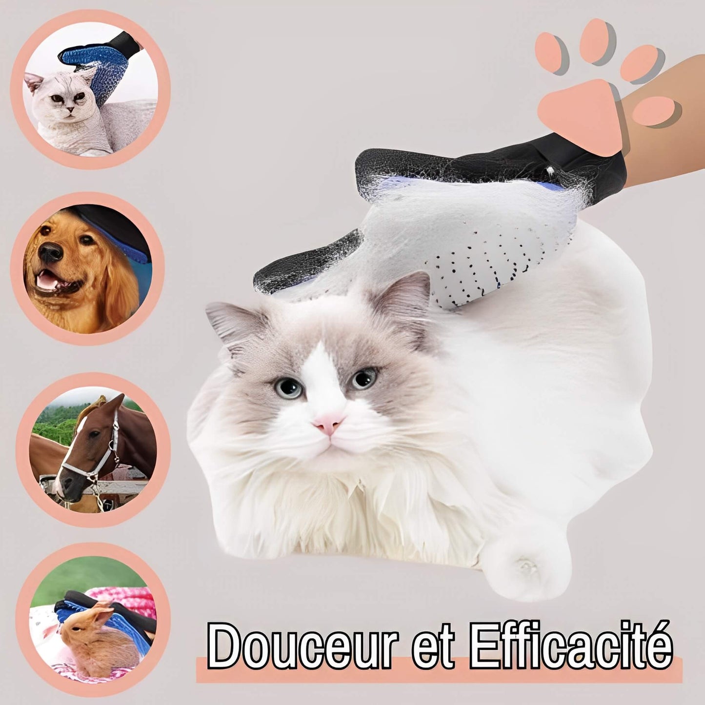 Brosse pour Chat ou Chien Gant de toilettage JuJuGantBrosse douceur efficacité