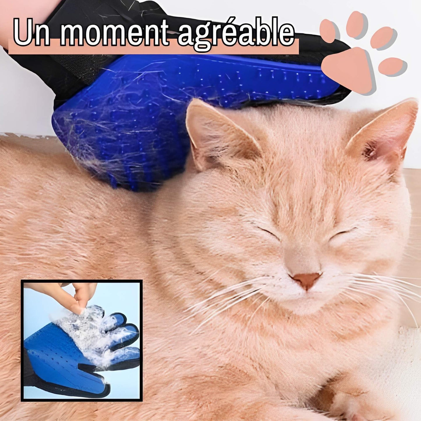 Brosse pour Chat ou Chien Gant de toilettage JuJuGantBrosse moment agreable