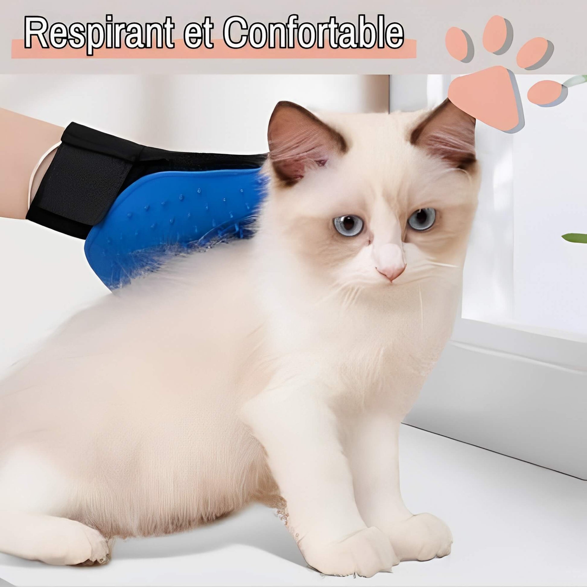 Brosse pour Chat ou Chien Gant de toilettage JuJuGantBrosse respirant confortable