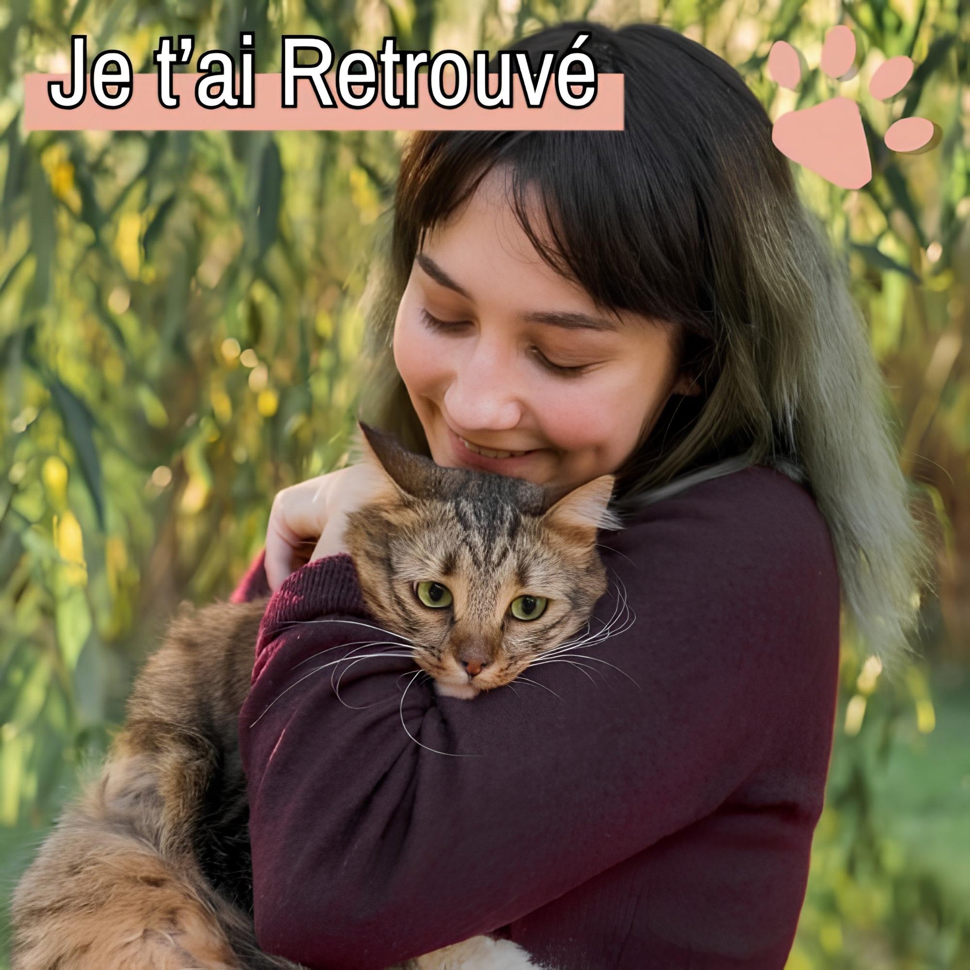 Collier chat pour airtag jujufindcat02 la niche de jules  chat retrouvé