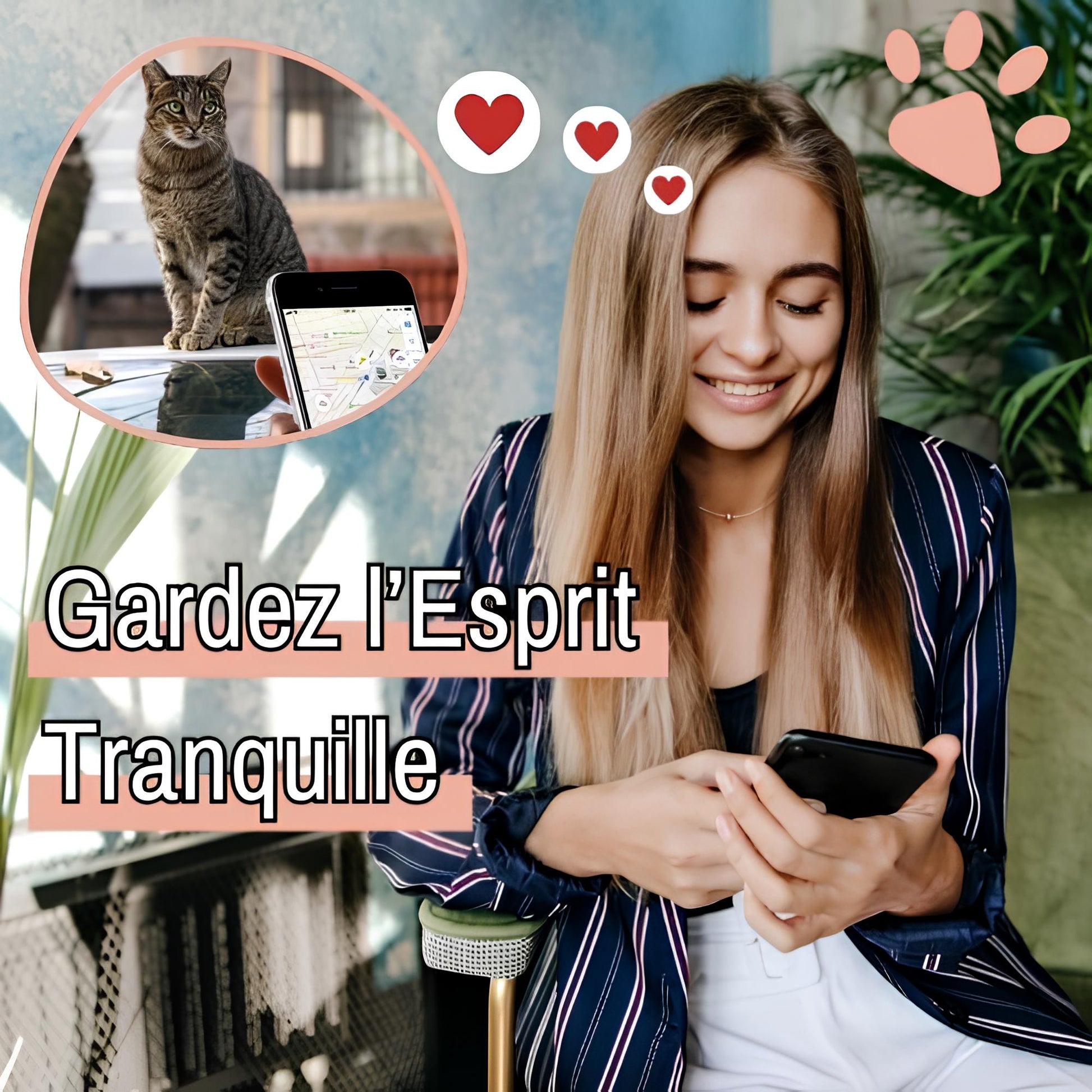 Collier chat pour airtag jujufindcat02 la niche de jules esprit tranquille