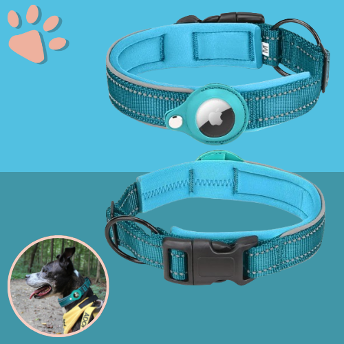 Collier chien pour airtag jujufindog la niche de jules bleu