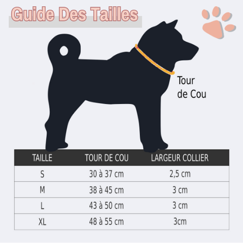 Collier chien pour airtag jujufindog la niche de jules guide des tailles