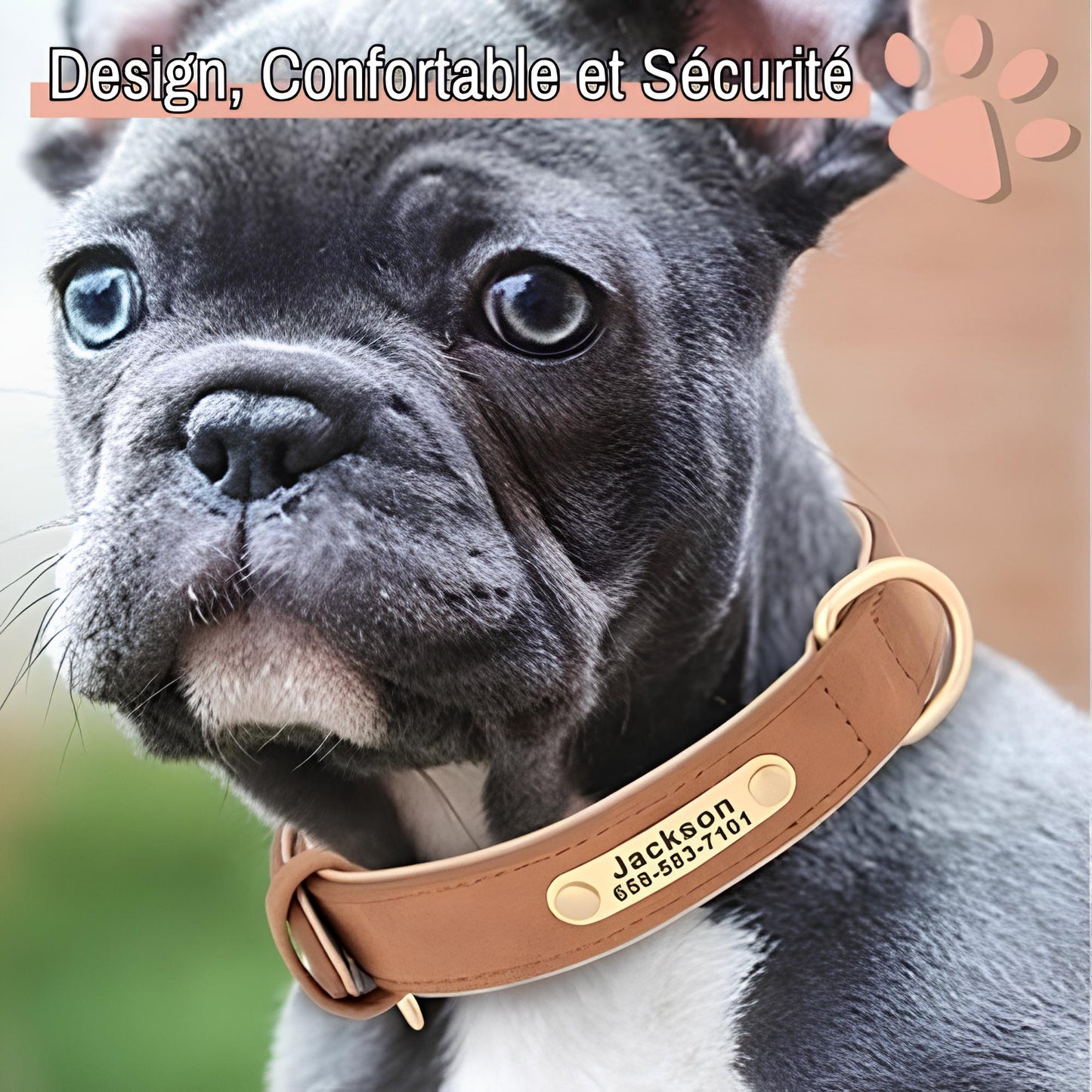 Collier personnalise pour chien nom personnalisable la niche de jules jujudeluxename2 conforatable design