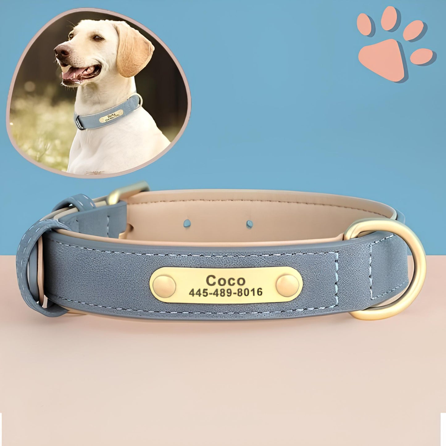 Collier personnalise pour chien nom personnalisable la niche de jules jujudeluxename2 bleu