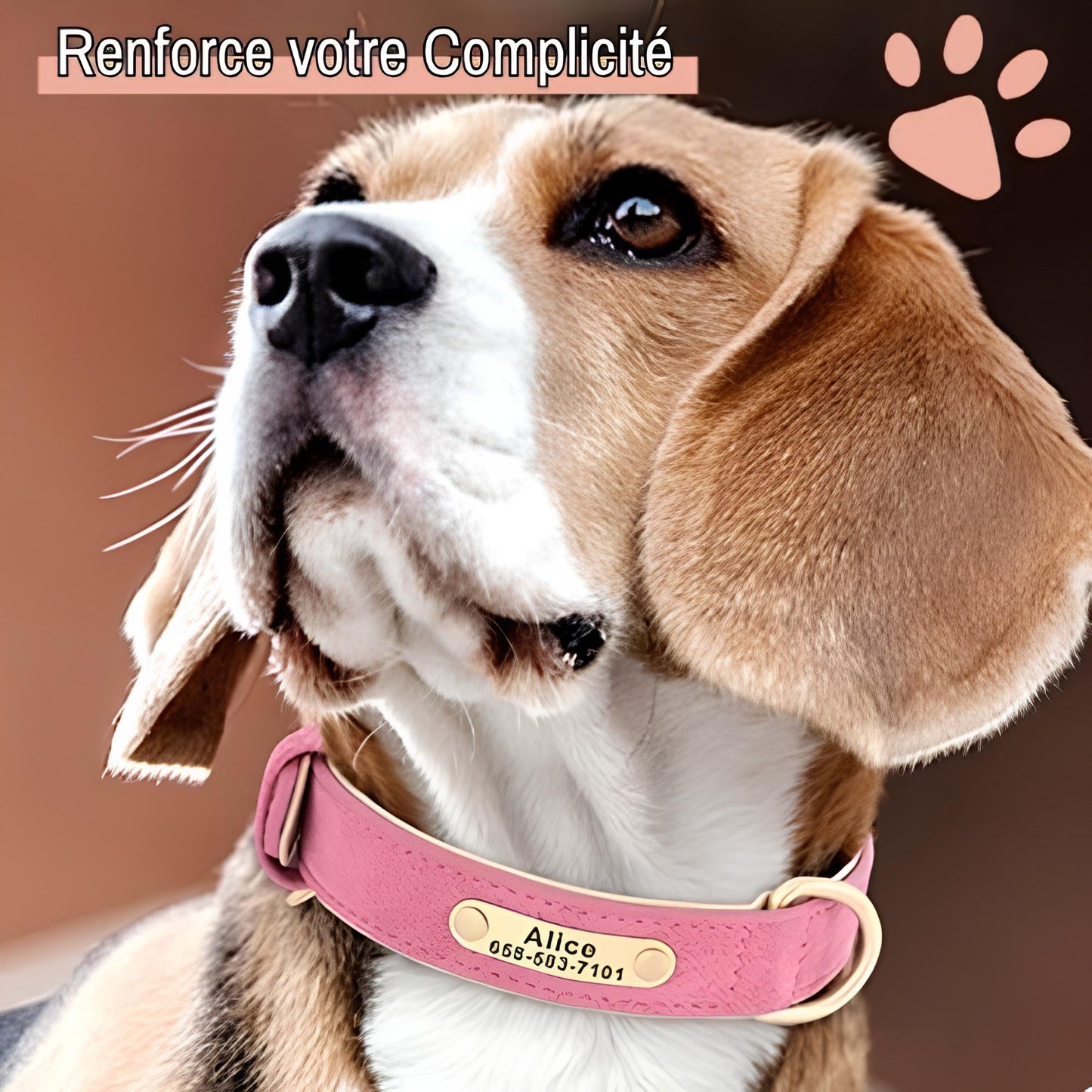 Collier personnalise pour chien nom personnalisable la niche de jules jujudeluxename2 renforce complicité