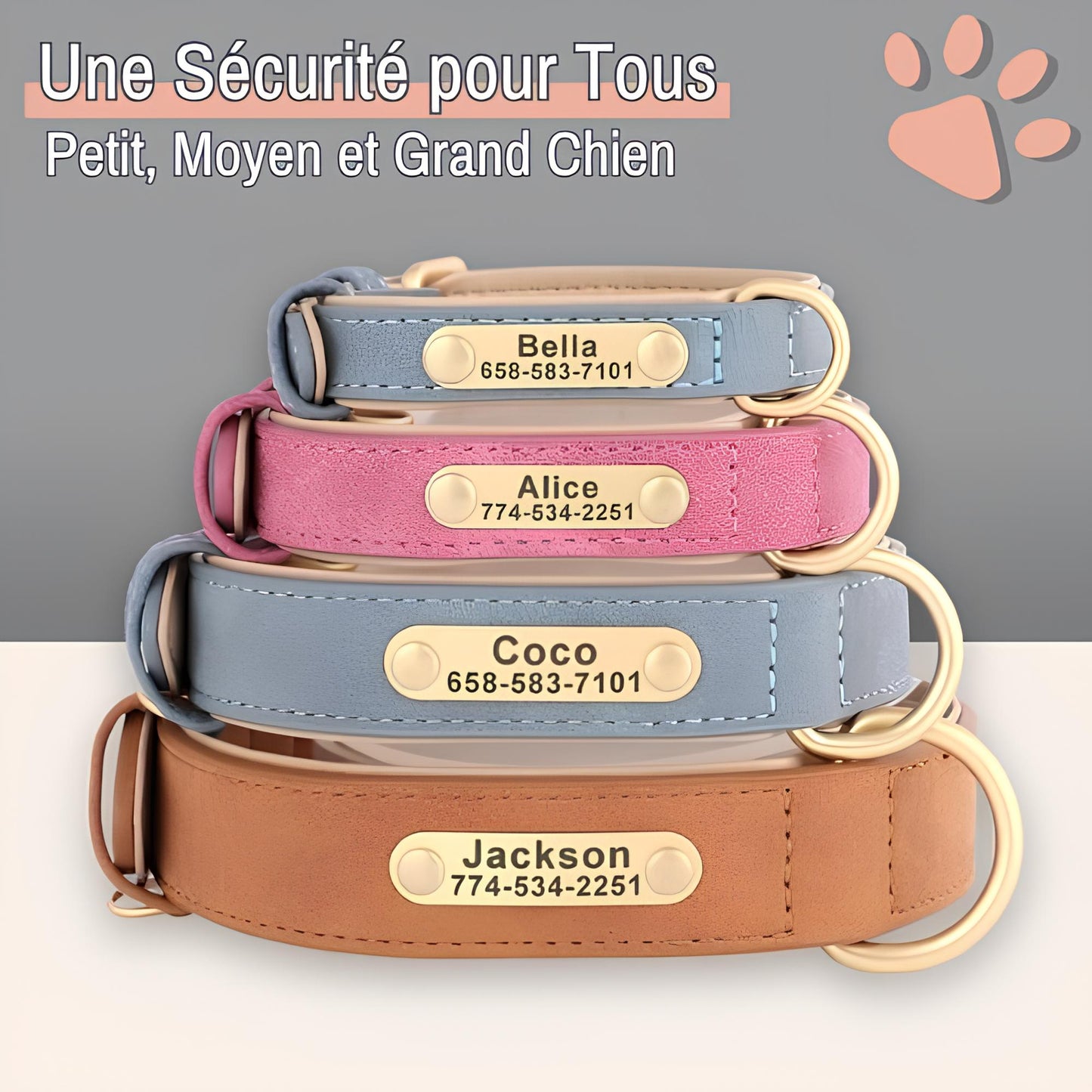 Collier personnalise pour chien nom personnalisable la niche de jules jujudeluxename2 petit moyen grand chien