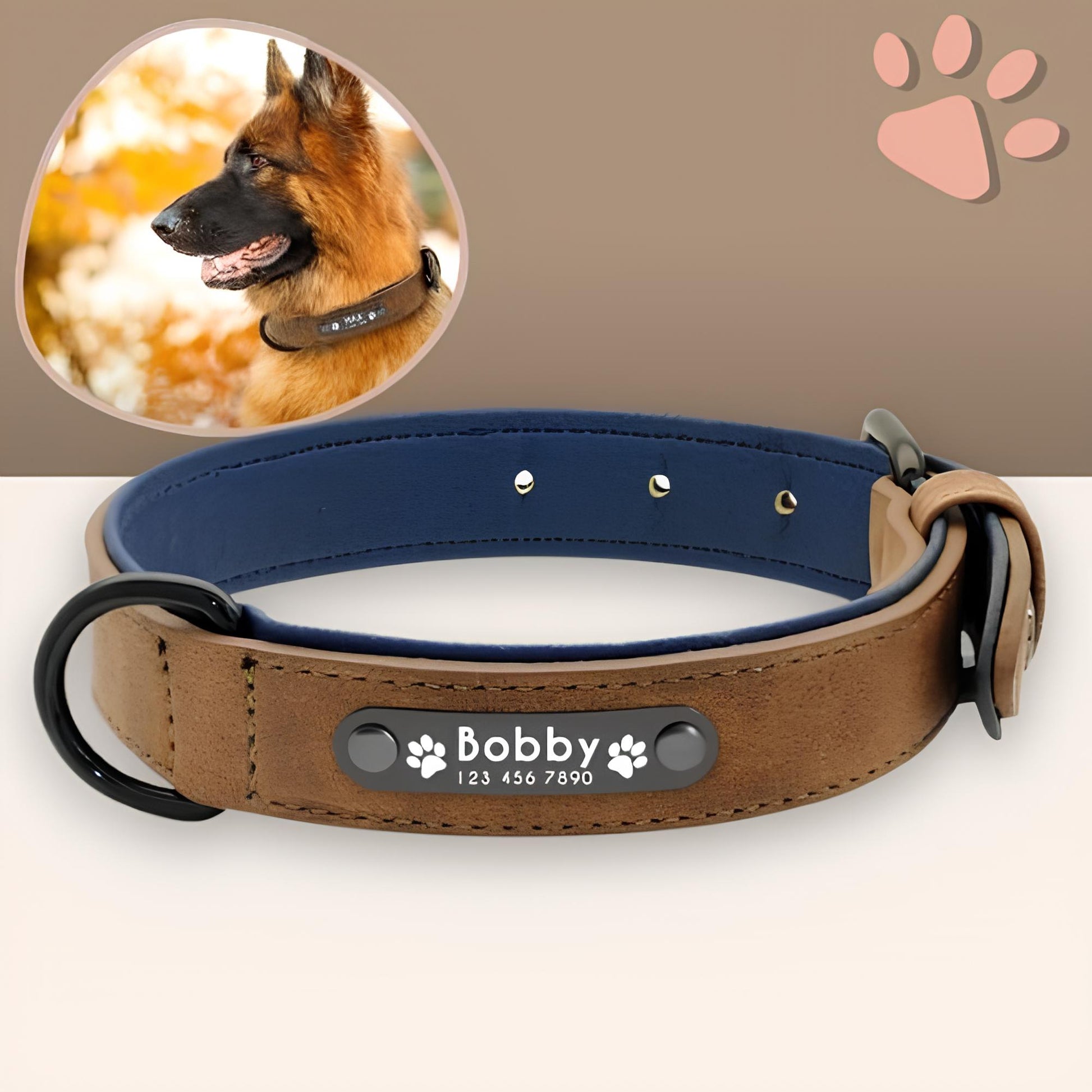 Collier personnalise pour chien nom personnalisable la niche de jules jujusecurename café