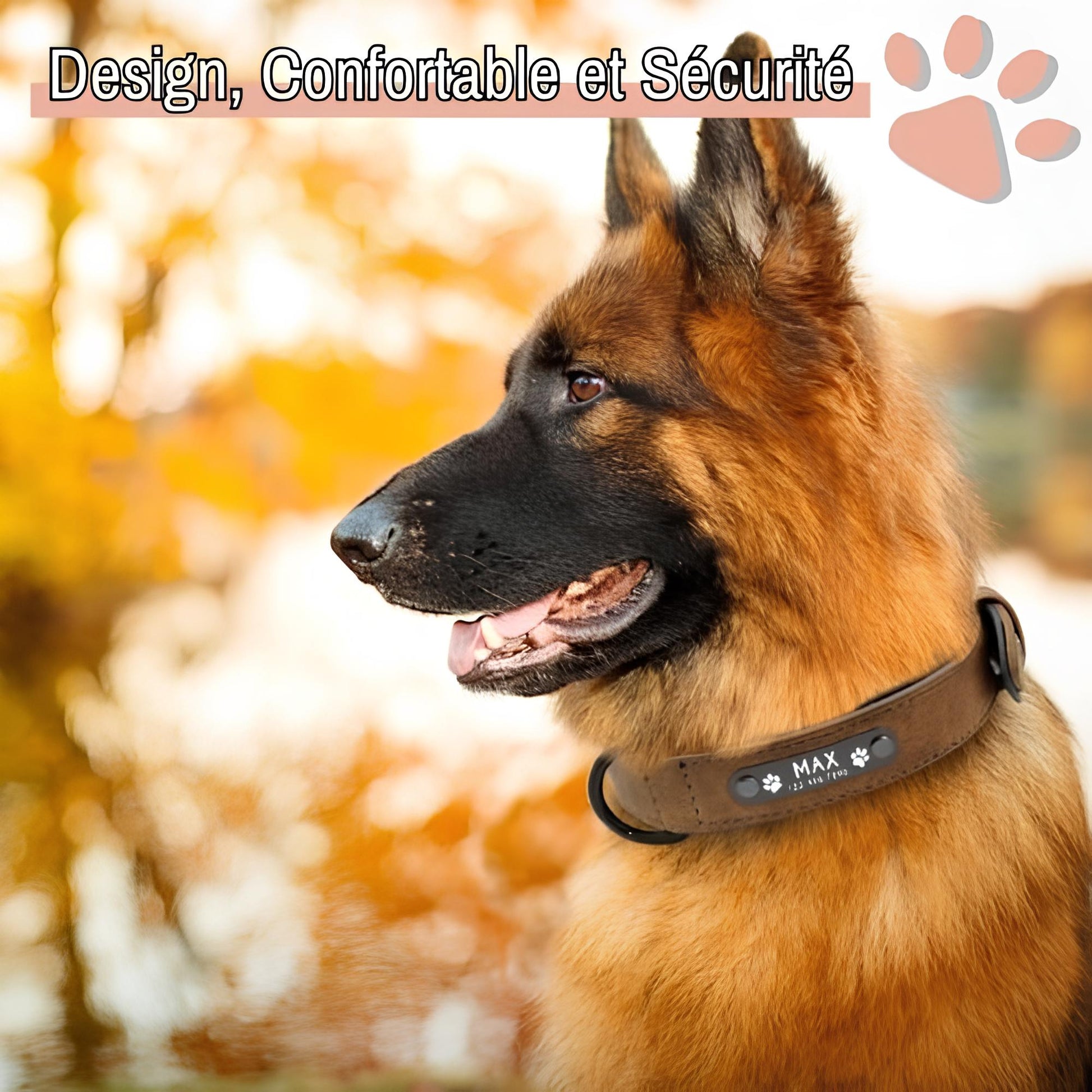 Collier personnalise pour chien nom personnalisable la niche de jules jujusecurename design confortable