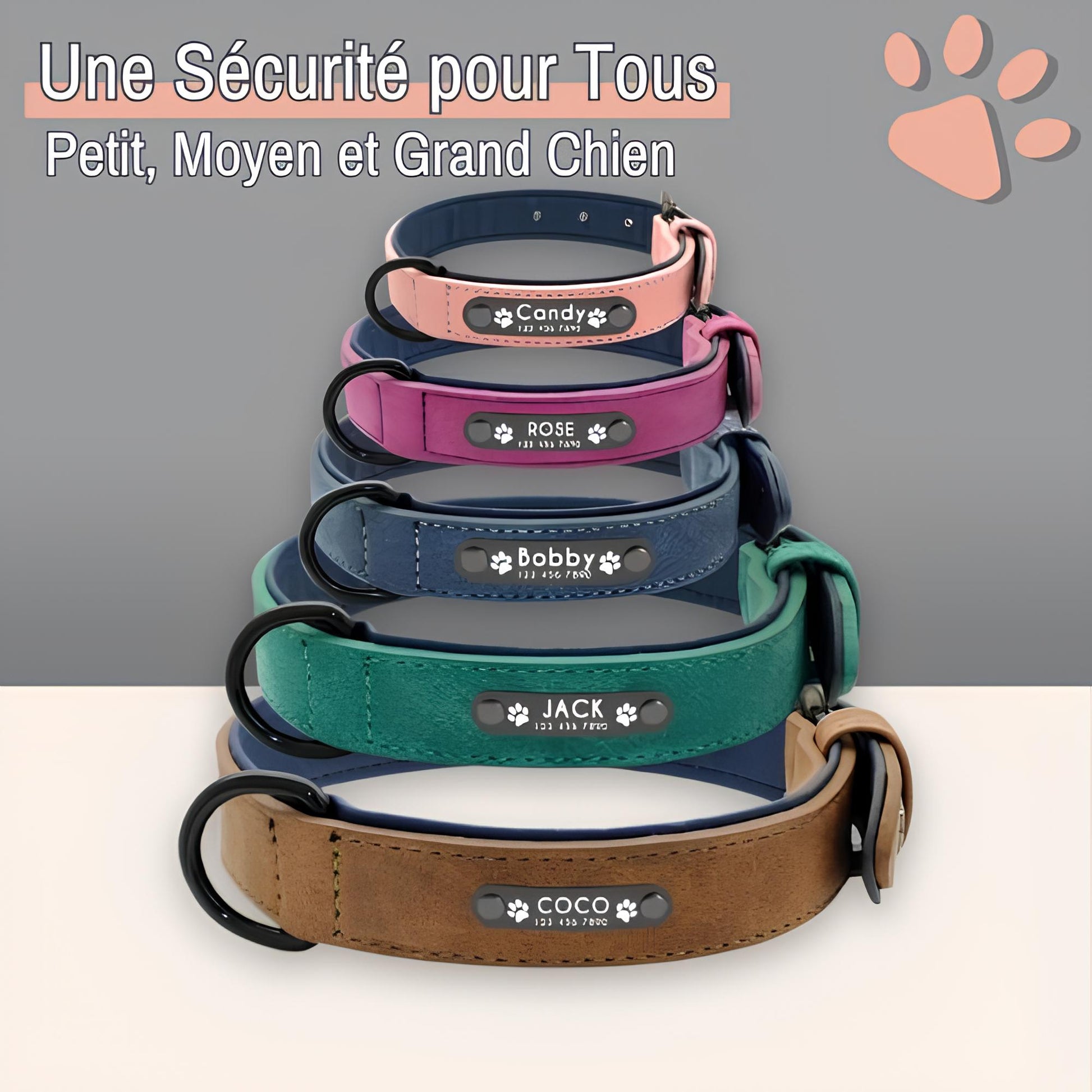 Collier personnalise pour chien nom personnalisable la niche de jules jujusecurename petit moyen grand chien