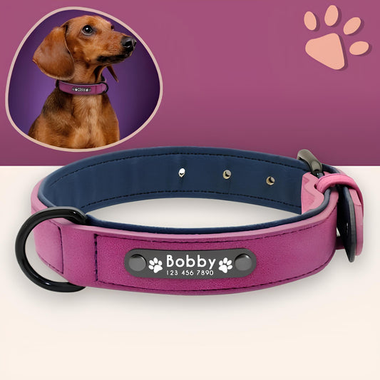 Collier personnalise pour chien nom personnalisable la niche de jules jujusecurename violet