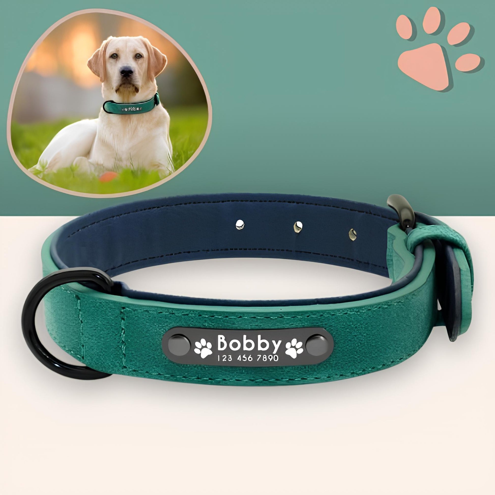 Collier personnalise pour chien nom personnalisable la niche de jules jujusecurename vert émeraude