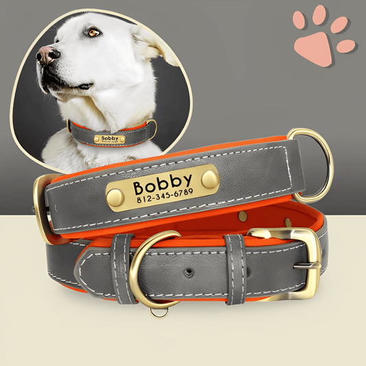 Collier personnalise pour grand chien nom personnalisable la niche de jules jujudeluxename gris