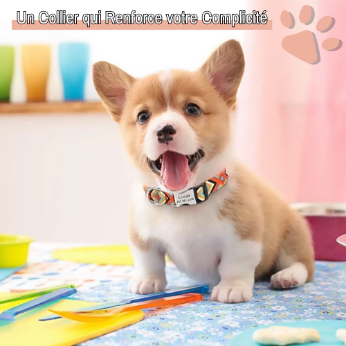 Collier pour chien personnalisé prénom téléphone personnalisable la niche de jules jujucollartag1 renforce la complicité