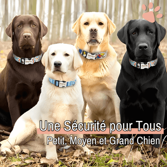 Collier pour chien personnalise prenom telephone personnalisable la niche de jules jujucollartag2 petit moyen grand chien