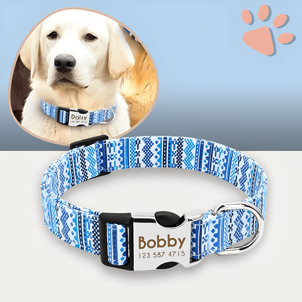 Collier pour chien personnalise prenom telephone personnalisable la niche de jules jujucollartag2 variante 01