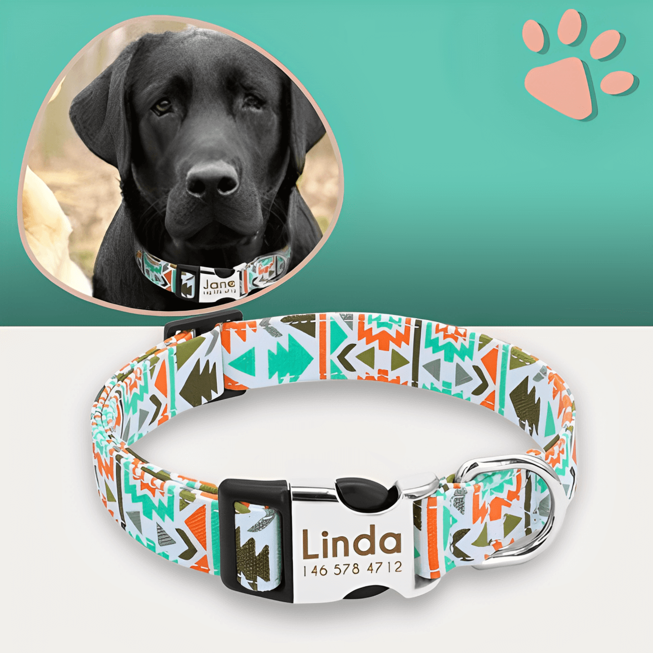 Collier pour chien personnalise prenom telephone personnalisable la niche de jules jujucollartag2 variante 02