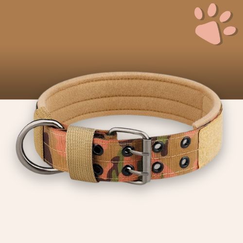 Collier pour chien tactique jujutactikcol la niche de jules camouflage