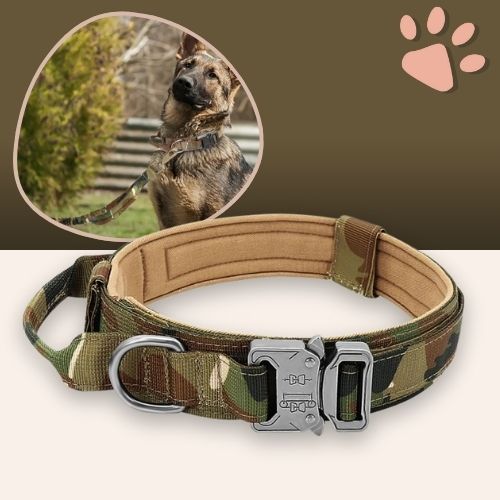 Collier tactique pour chien style militaire la niche de jules jujutactikmilitaire camouflage