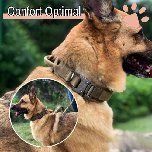 Collier tactique pour chien style militaire la niche de jules jujutactikmilitaire confort optimal