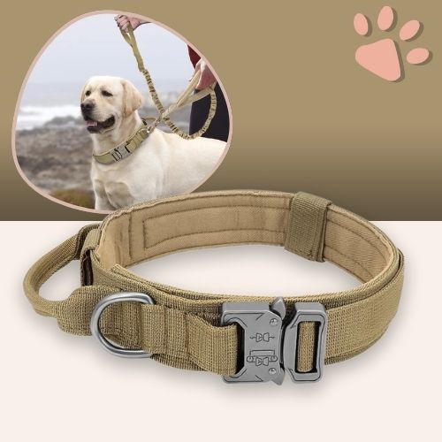 Collier tactique pour chien style militaire la niche de jules jujutactikmilitaire kaki