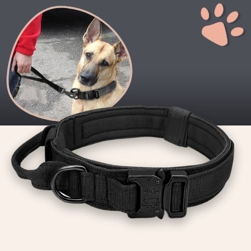 Collier tactique pour chien style militaire la niche de jules jujutactikmilitaire noir