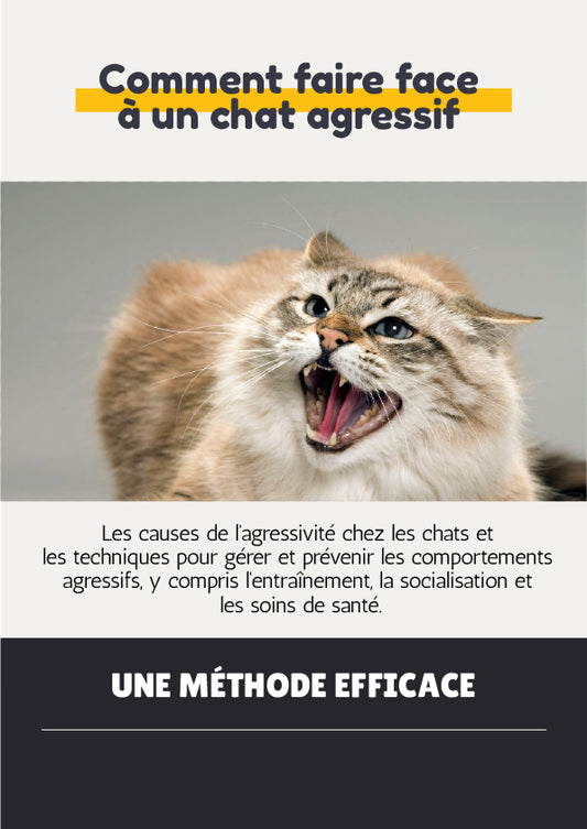 Ebook | Comment faire face à un chat agressif ? 6 pages