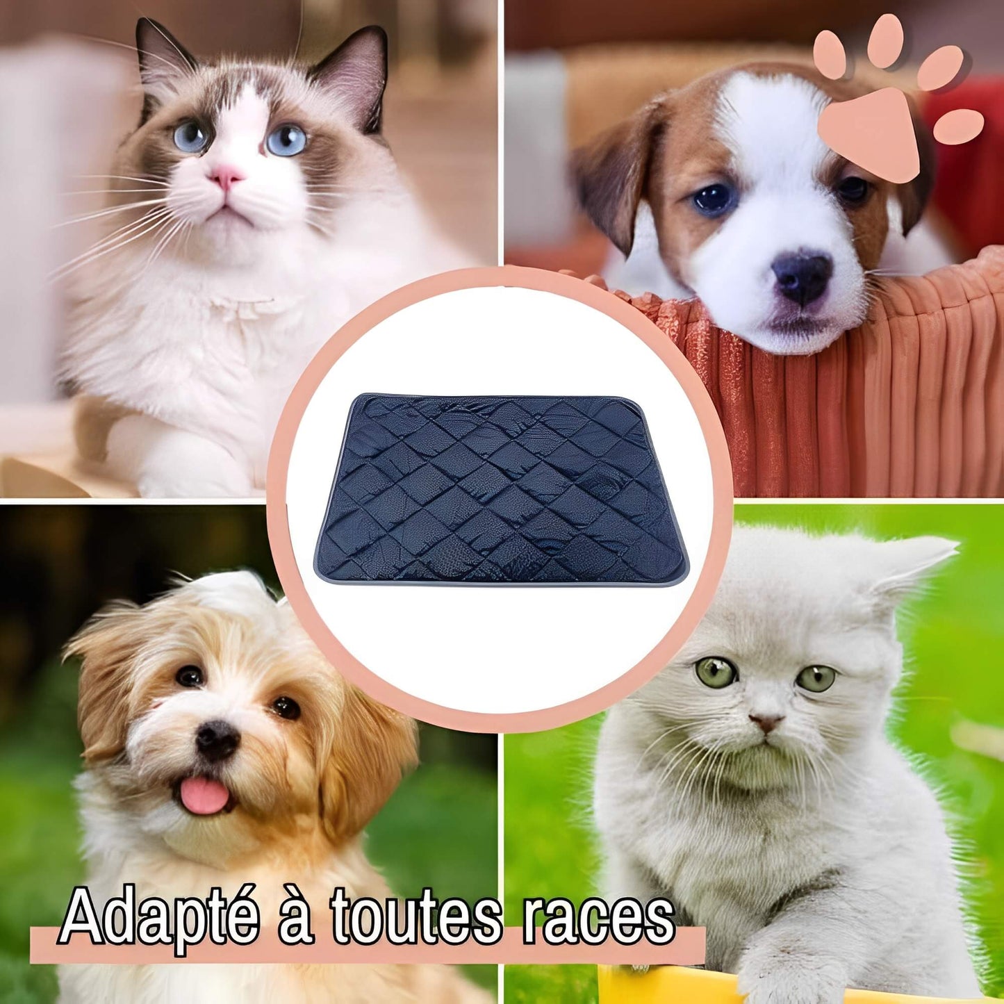 Coussin auto chauffant jujuthermocozy la niche de jules adapté toutes races