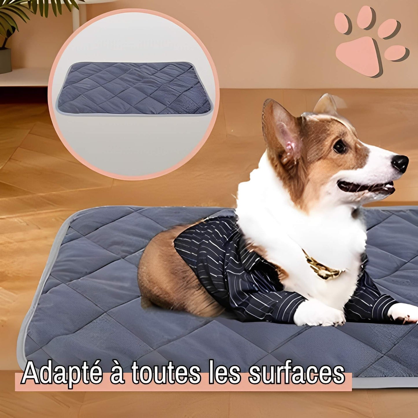 Coussin auto chauffant jujuthermocozy la niche de jules adapté toutes surfaces