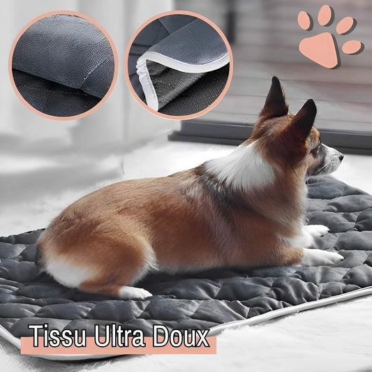 Coussin auto chauffant jujuthermocozy la niche de jules tissu ultra doux