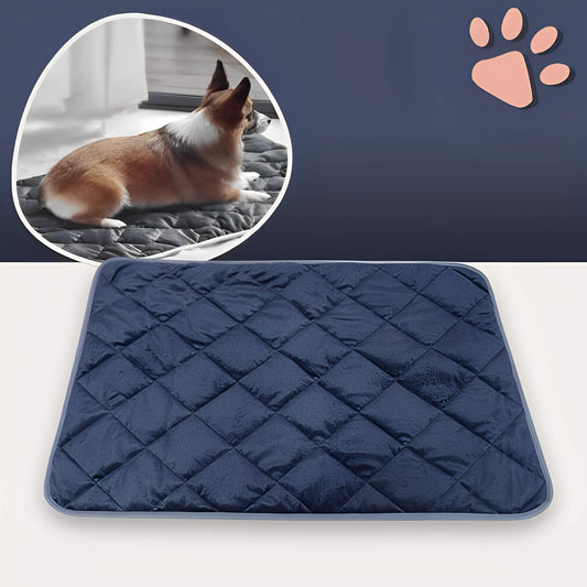 Coussin auto chauffant jujuthermocozy la niche de jules variante