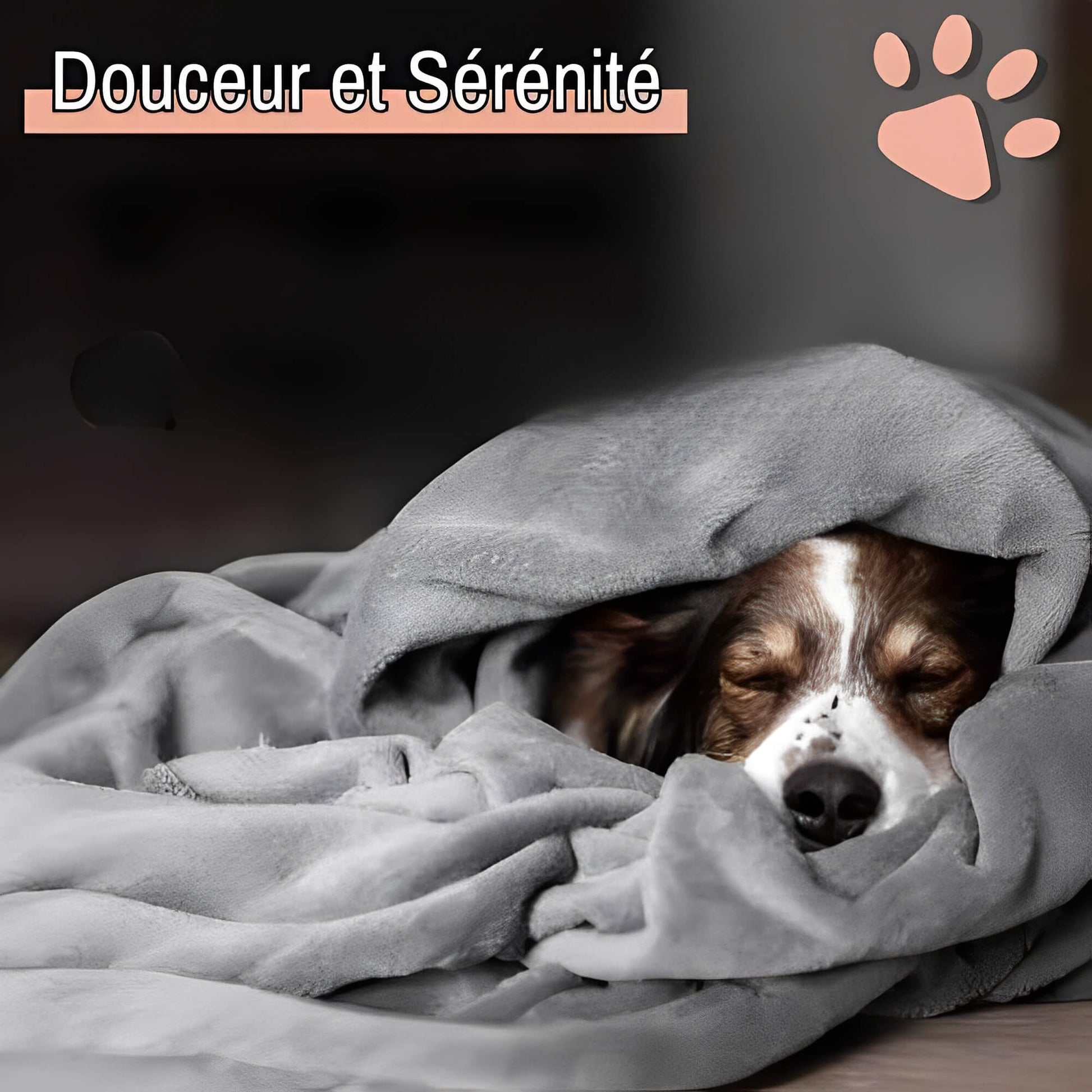 Couverture impermeable pour chien JujuProtectBlanket douceur et sérénité