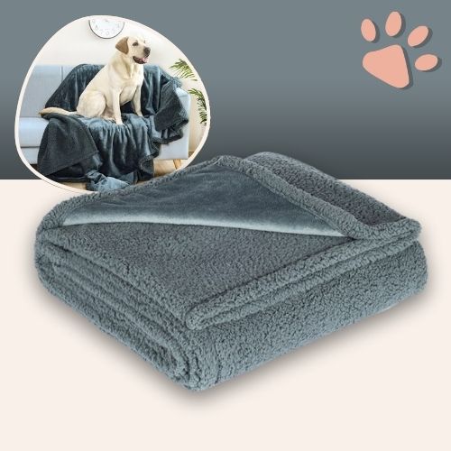 Couverture impermeable pour chien JujuProtectBlanket gris
