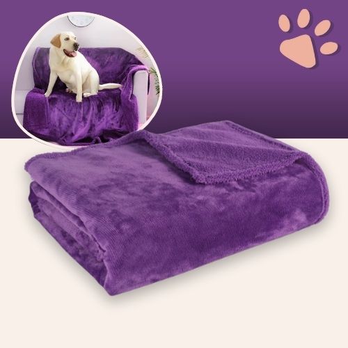 Couverture impermeable pour chien JujuProtectBlanket violet