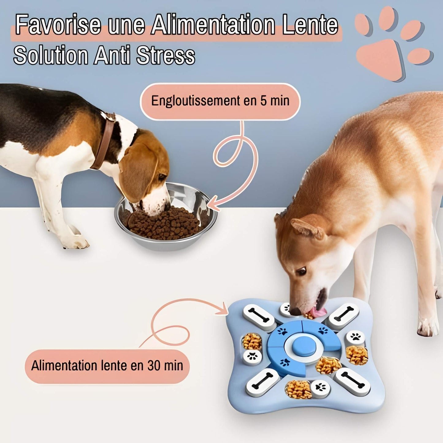 Distributeur de croquettes pour chien JujuFoodPuzzle La Niche De Jules solution anti stress