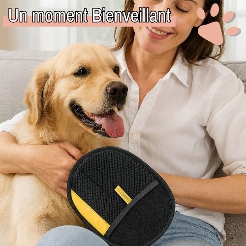 Gant de Toilettage pour Chien et Chat la niche de jules Gant de Toilettage pour Chien et Chat la niche de jules JuJuGroomGlove un moment compagnon bienveillant