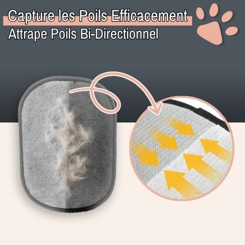 Gant de Toilettage pour Chien et Chat la niche de jules Gant de Toilettage pour Chien et Chat la niche de jules JuJuGroomGlove capture les poils efficacement attrape poils bi directionnel
