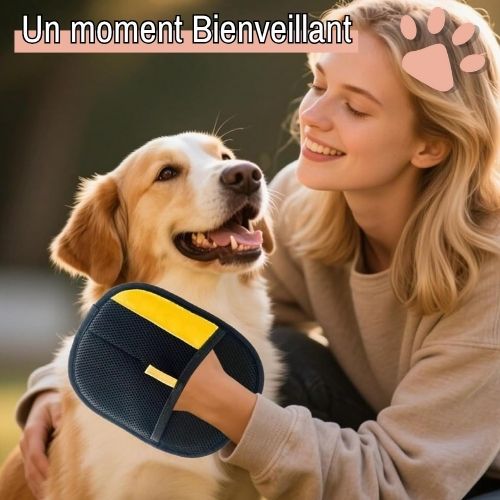 Gant de Toilettage pour Chien et Chat la niche de jules Gant de Toilettage pour Chien et Chat la niche de jules JuJuGroomGlove un moment bienveillant