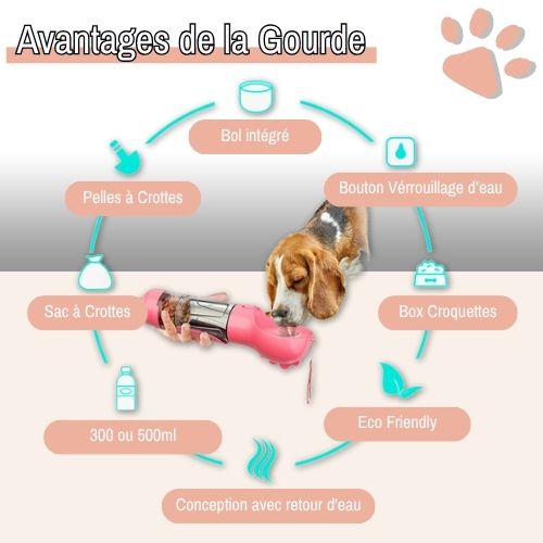 Gourde pour chien multifonction la niche de jules jujugourde avantages