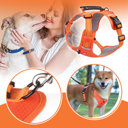 harnais anti traction respirant de qualité pour chien la niche de jules jujuharn img01