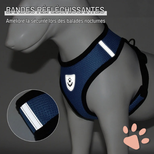 Harnais pour Chien de petite taille et Chiot - Anti Traction SFP | JuJuMiniHarn™