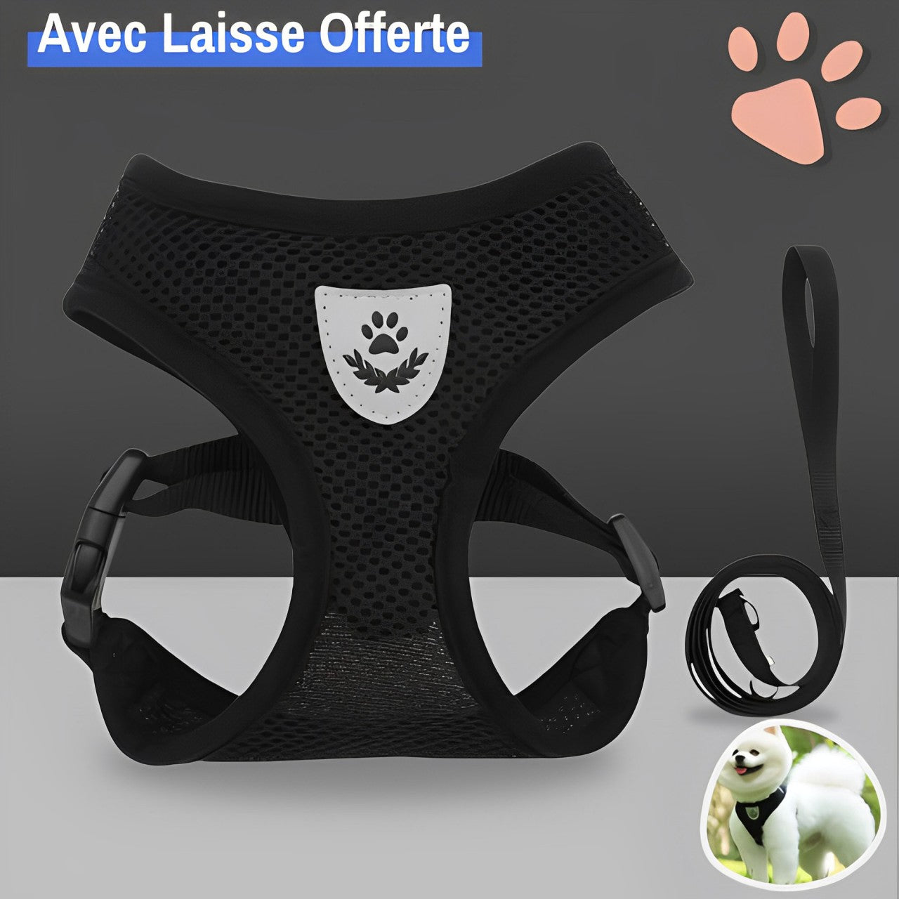 Harnais pour Chien de petite taille et Chiot - Anti Traction SFP | JuJuMiniHarn™