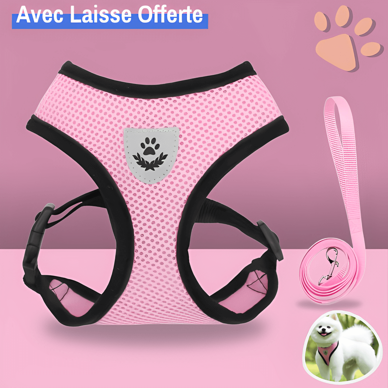 Harnais pour Chien de petite taille et Chiot - Anti Traction SFP | JuJuMiniHarn™