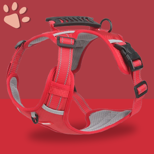 harnais anti traction respirant de qualité pour chien la niche de jules jujuharn rouge