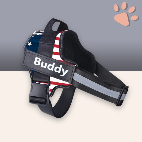 Harnais pour chien personnalisé prénom téléphone anti traction spf jujucustomharn la niche de jules usa