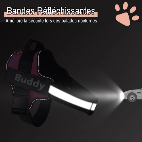 Harnais pour chien personnalisé prénom téléphone anti traction spf jujucustomharn la niche de jules bandes réfléchissantes