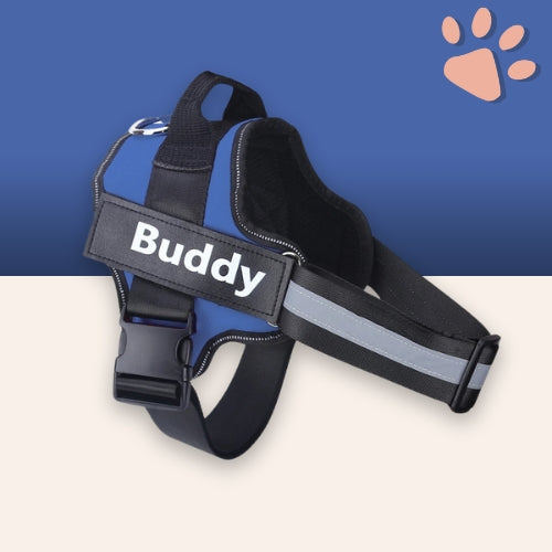 Harnais pour chien personnalisé prénom téléphone anti traction spf jujucustomharn la niche de jules bleu