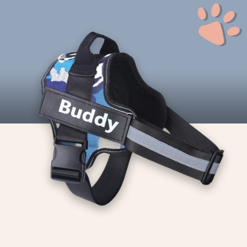 Harnais pour chien personnalisé prénom téléphone anti traction spf jujucustomharn la niche de jules camouflage bleu